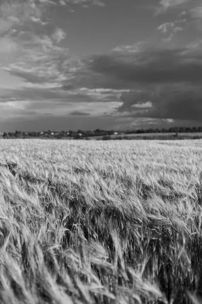 Фотография автора Мария Щеголькова