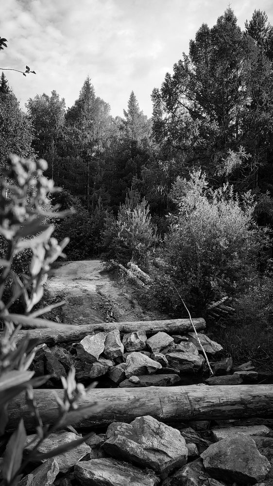 Фотография автора Ольга Неуймина