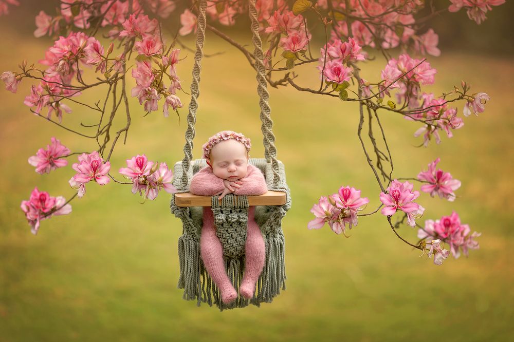 Фотография автора Limor David Samovich