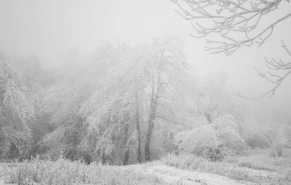 Photograph by София Носкова