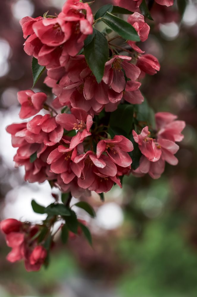 Photograph by Марина Суздаль