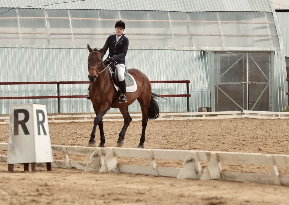 Photograph by Елена Ковалева