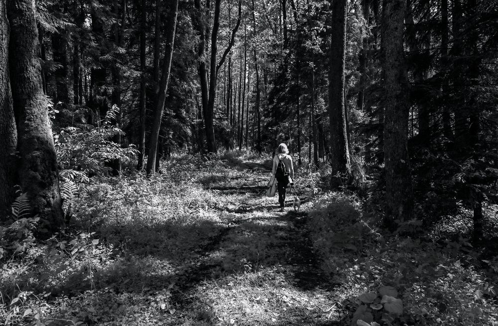 Photograph by Юлия Лис-а