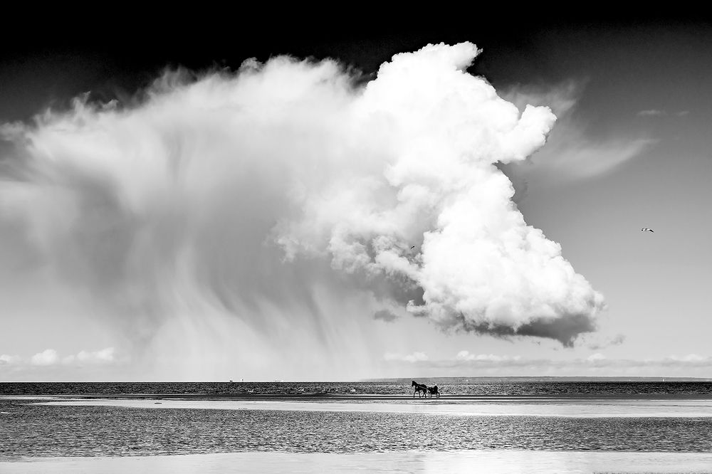 Photograph by Александр Абросимов