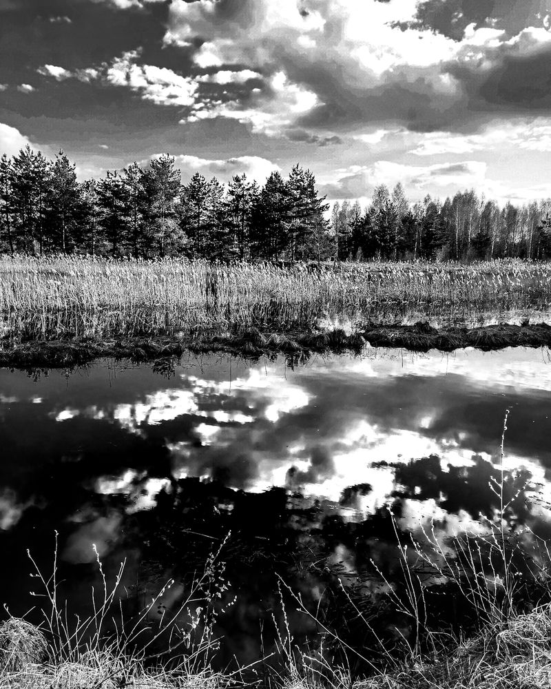 Photograph by Наталья Балабанова