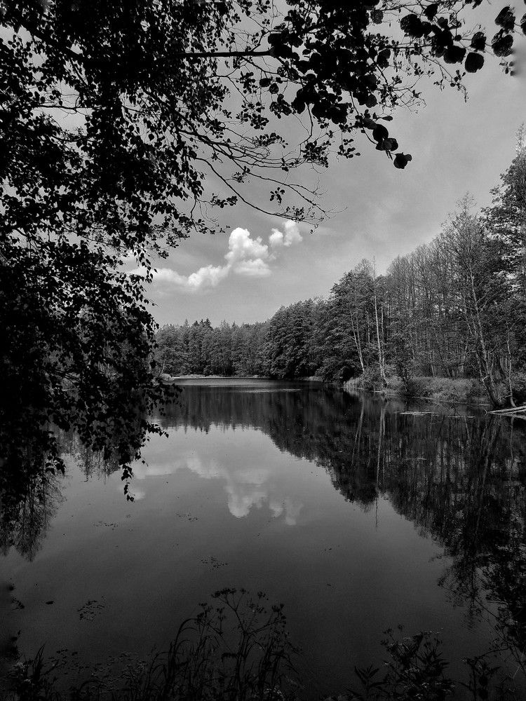 Photograph by Владислав Барышов