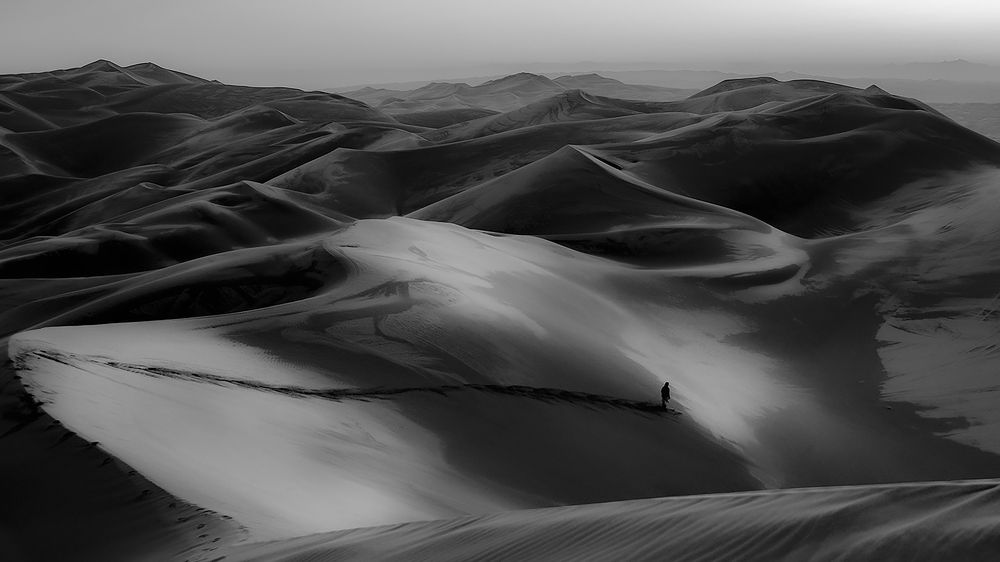 Photograph by Reza Mohammadi