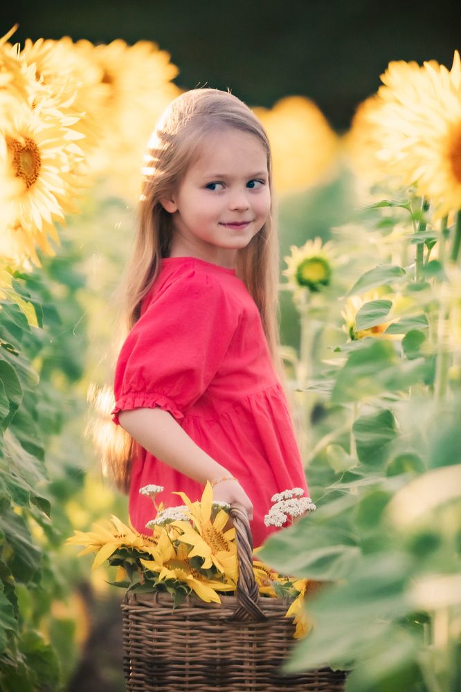 Фотография автора Олег Старосельцев