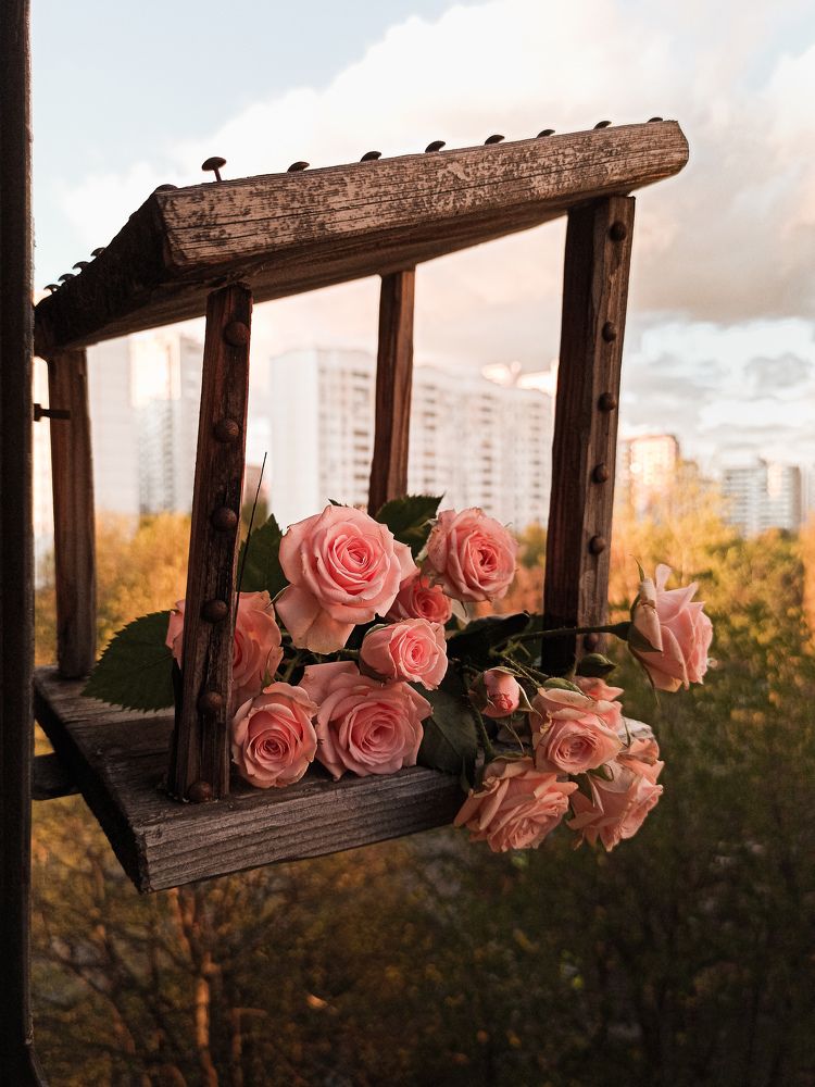 Photograph by Анна Савина