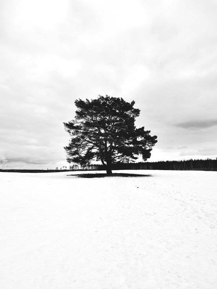 Photograph by Ангелина Шикина