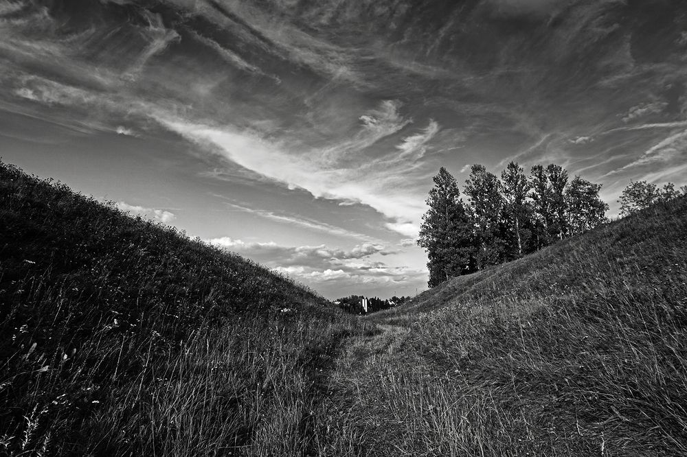 Photograph by Анна Цветковская