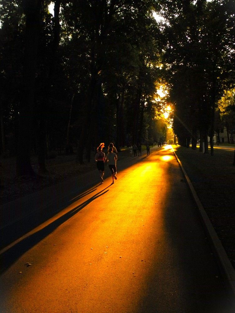 Photograph by Елена Ляпина