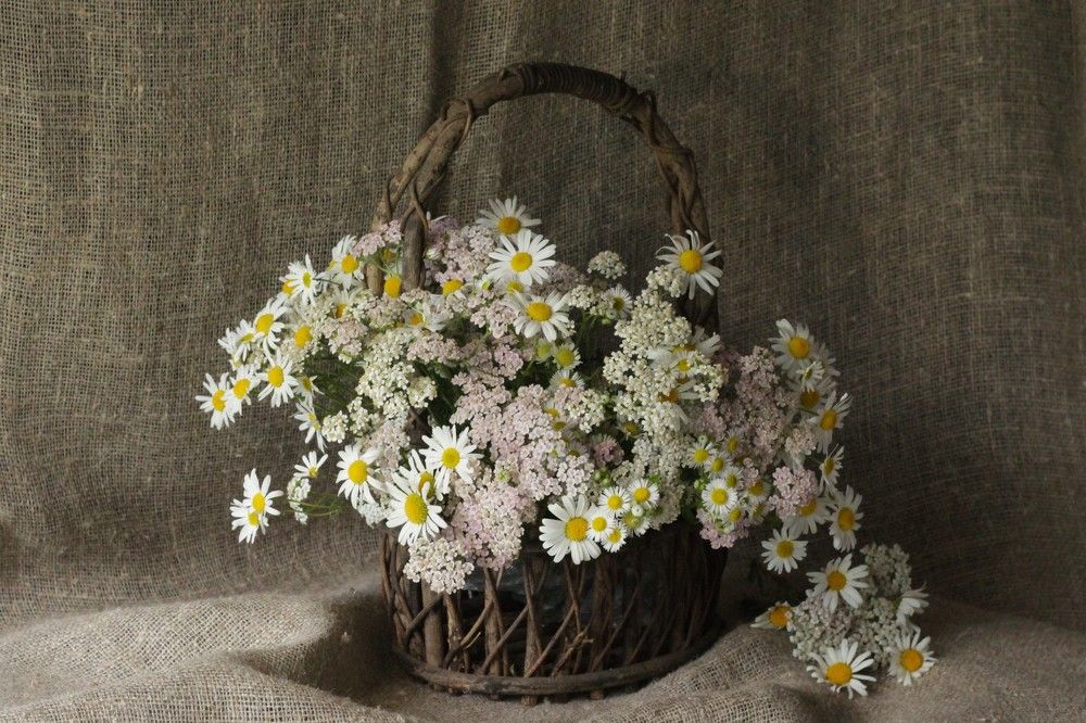 Photograph by Светлана Соколова