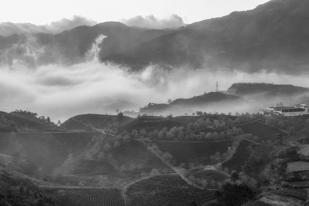 Photograph by Hoàng Hiếu