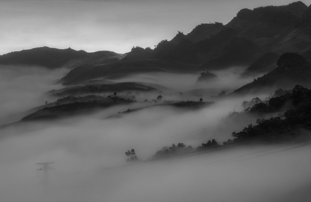 Photograph by Hoàng Hiếu