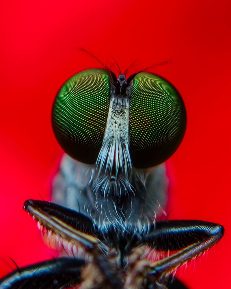 Photograph by Ajeesh A