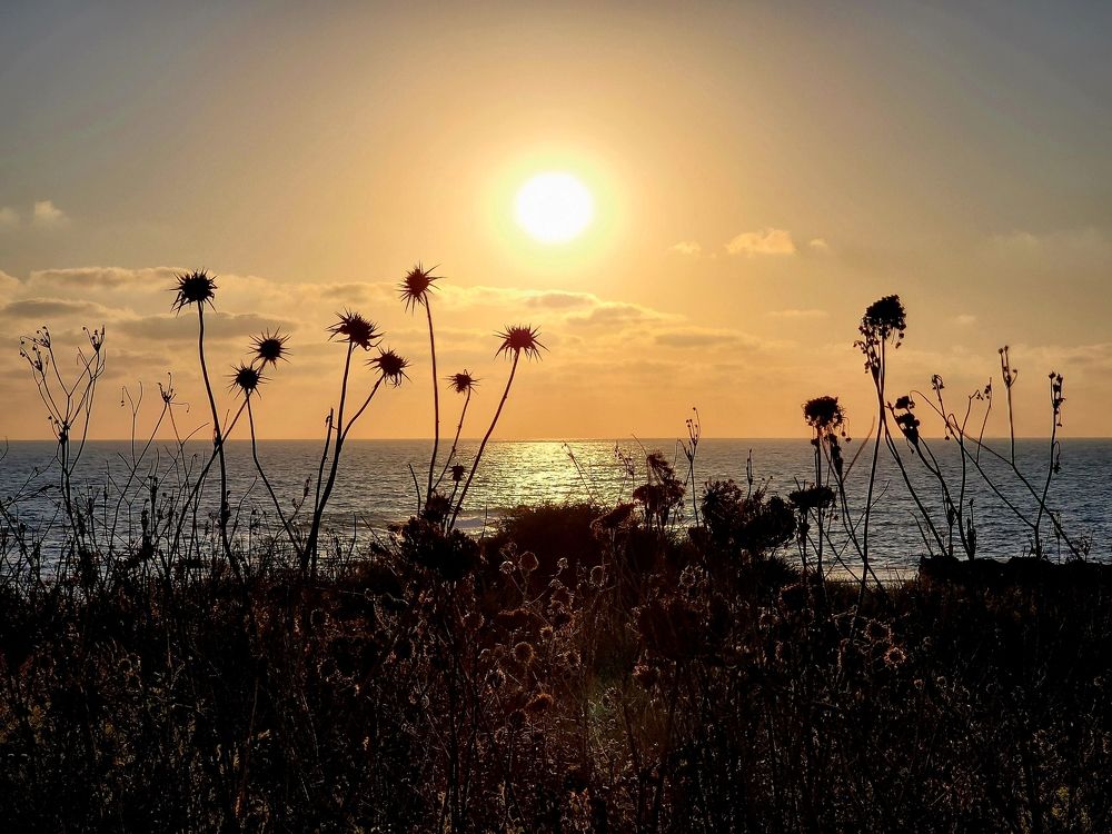 Photograph by יעל מנור