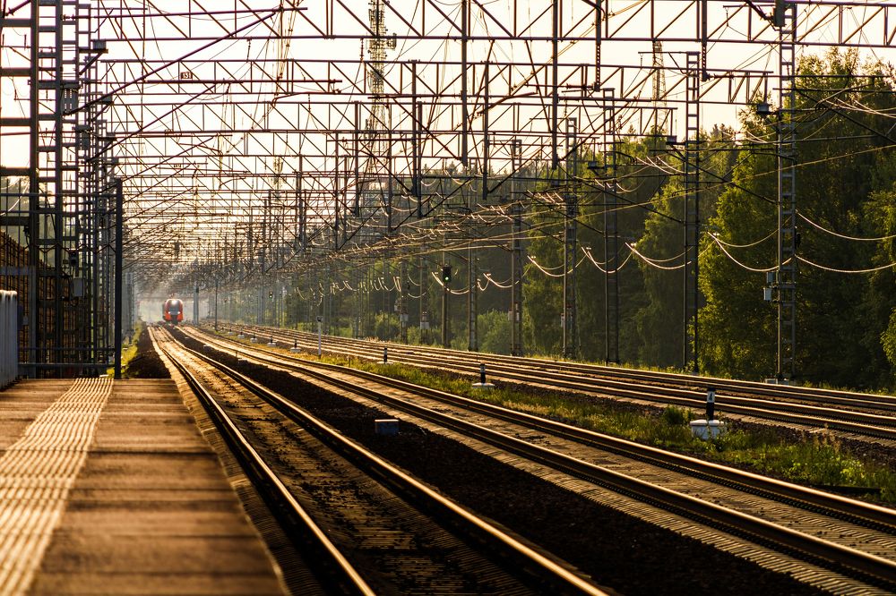 Photograph by Алексей Чеботарев