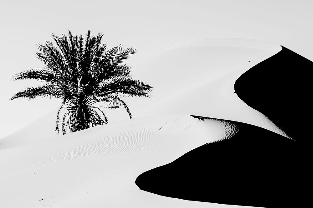 Photograph by YEHYA TALBI