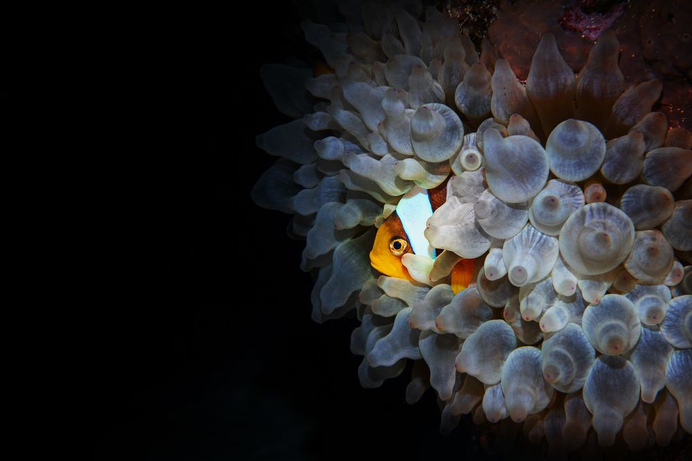 Photograph by Андрей Данильченко