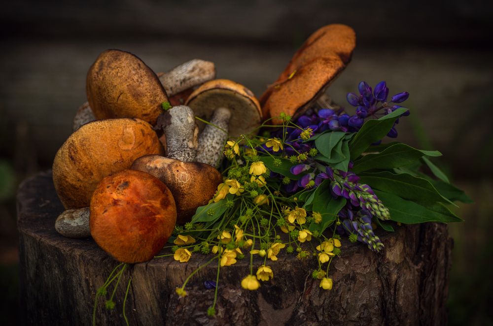 Photograph by Марина Мурашова