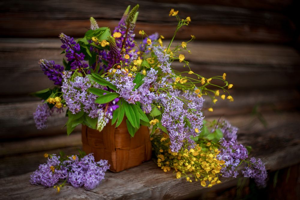 Photograph by Марина Мурашова