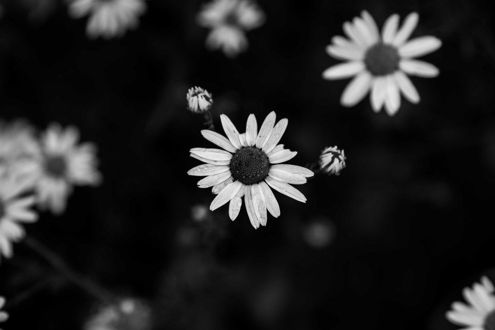 Photograph by Анатолий Мосяков