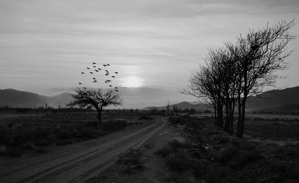 Photograph by Ali goreishi