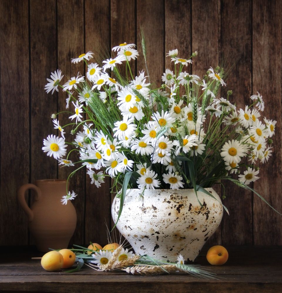 Фотография автора Елена Доянова