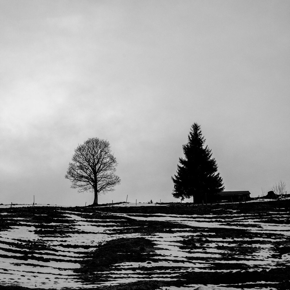 Photograph by Dilnath Deegala