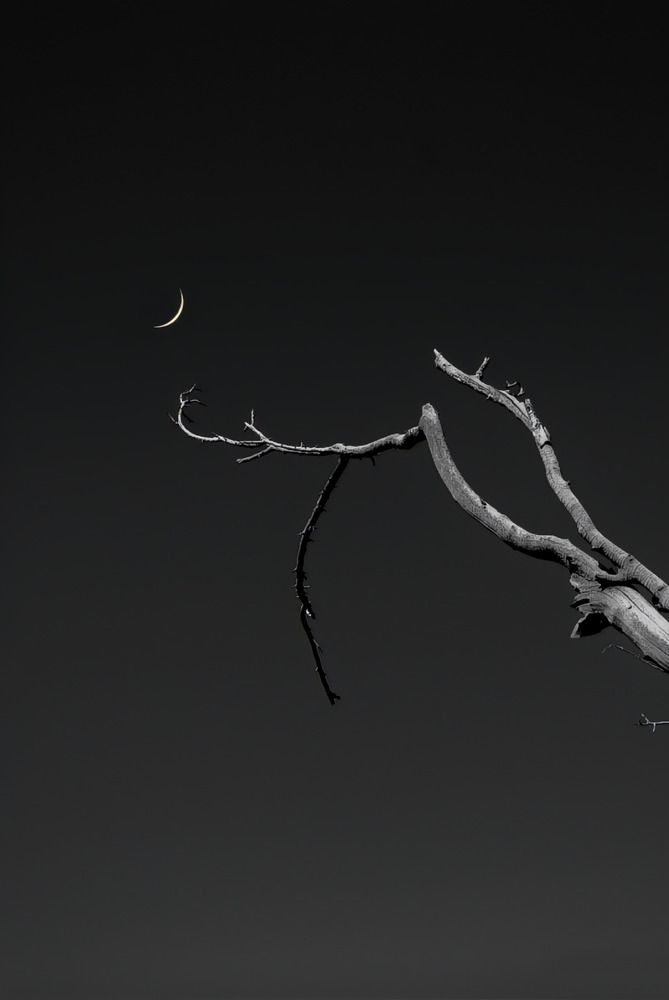 Фотография автора bahar td