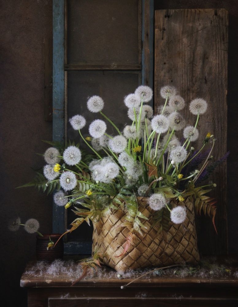 Photograph by Елена Доянова