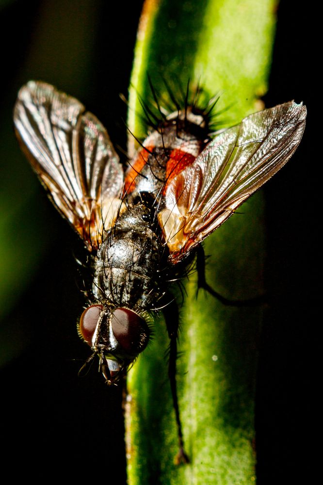 Photograph by Anton Chepurkin