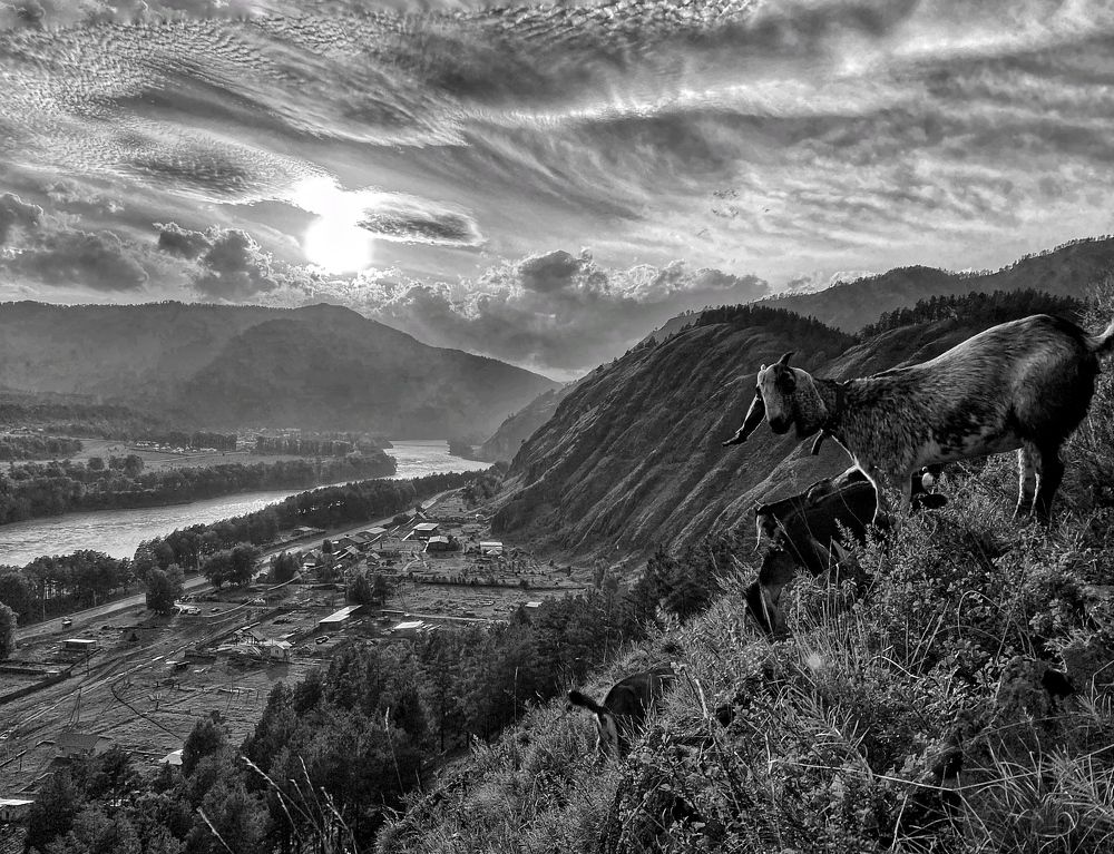 Photograph by Мария Поливода