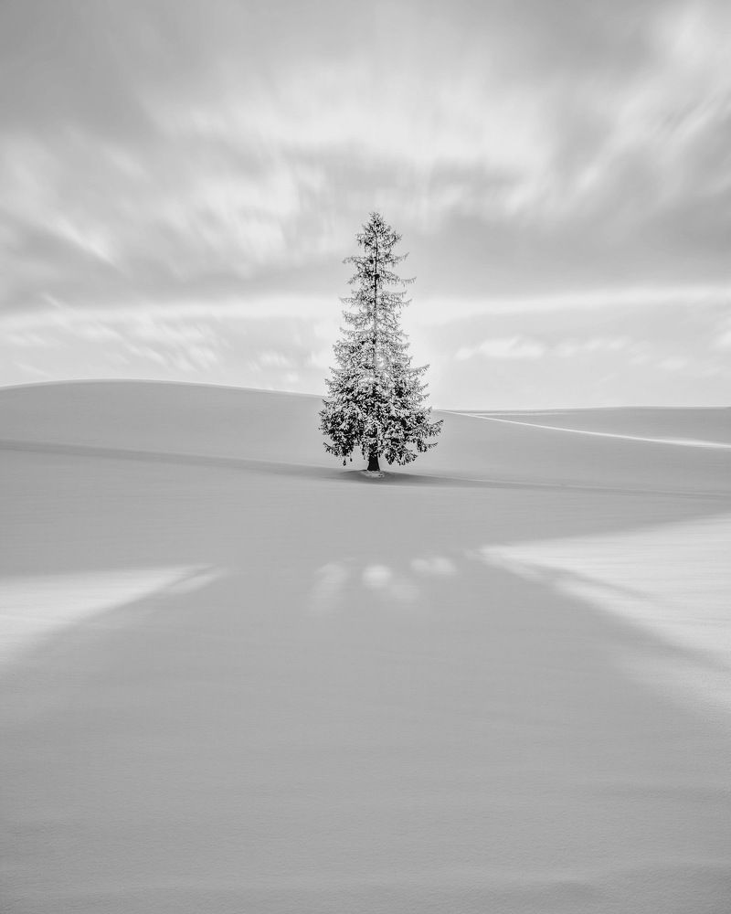 Photograph by Phùng Minh Long