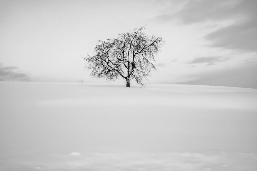 Photograph by Phùng Minh Long