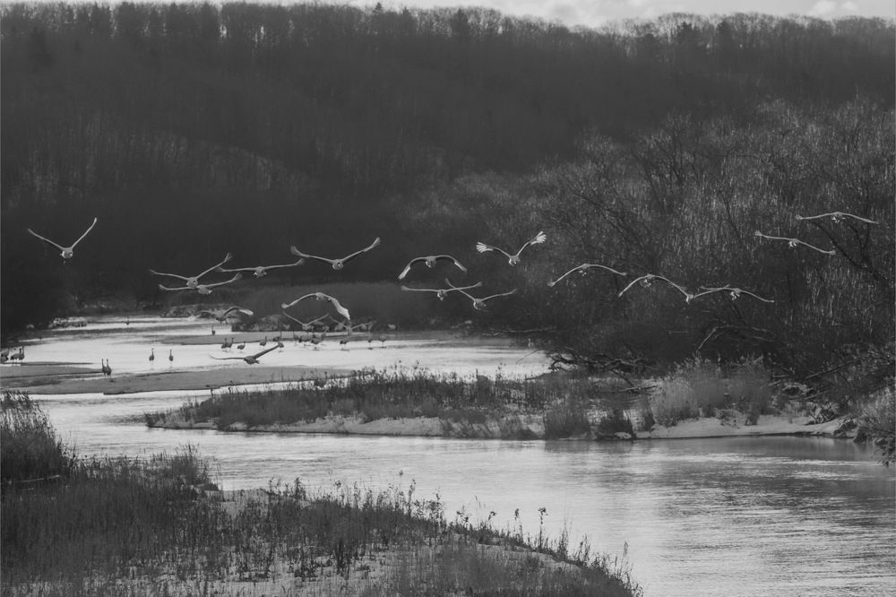 Photograph by Phùng Minh Long