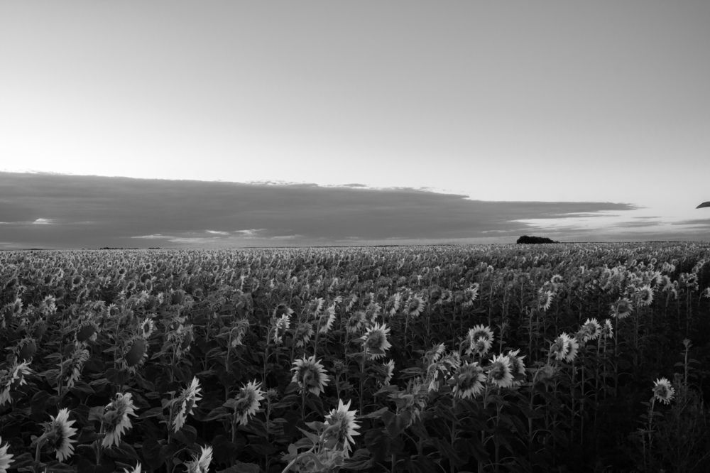 Photograph by Станислав Кунецкий