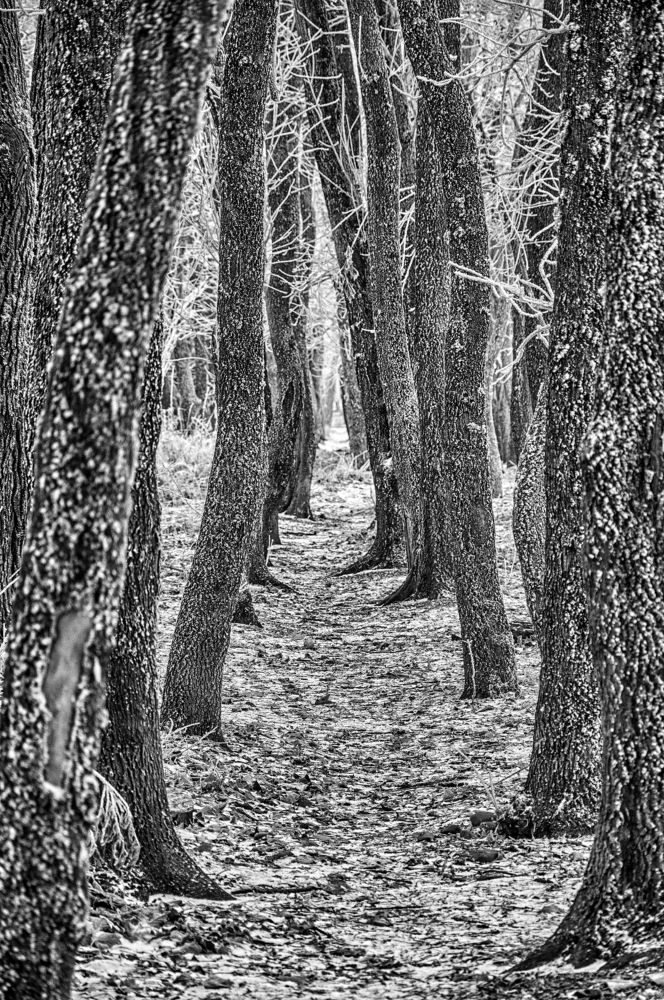 Photograph by Мария Кобыльченко