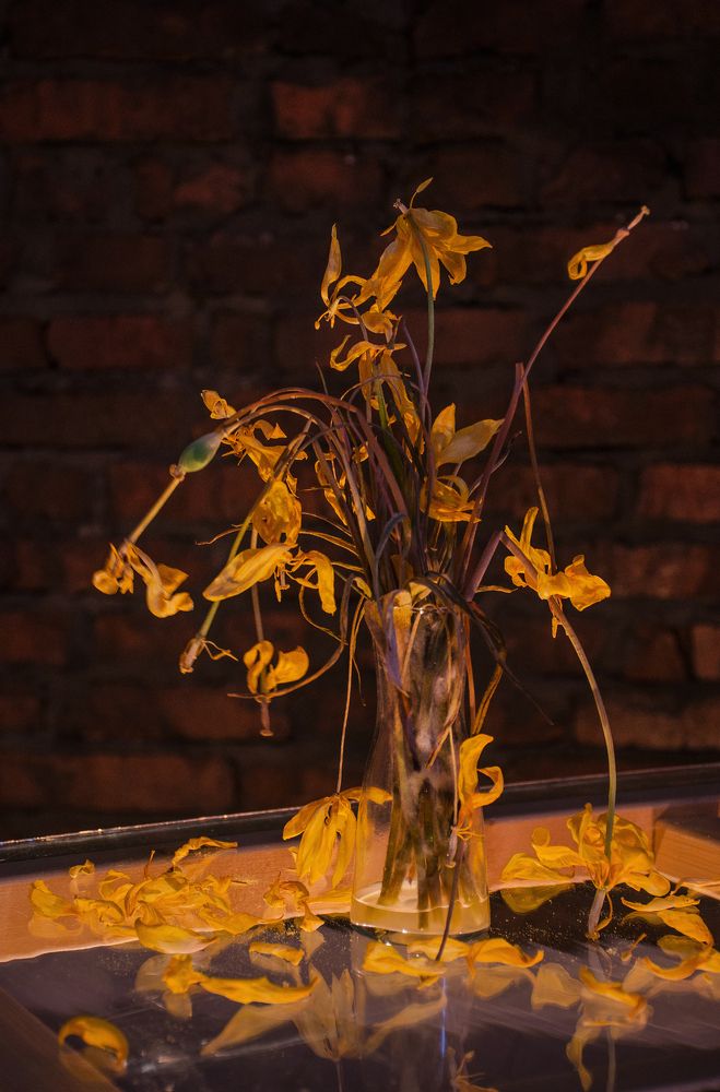 Photograph by София Носкова