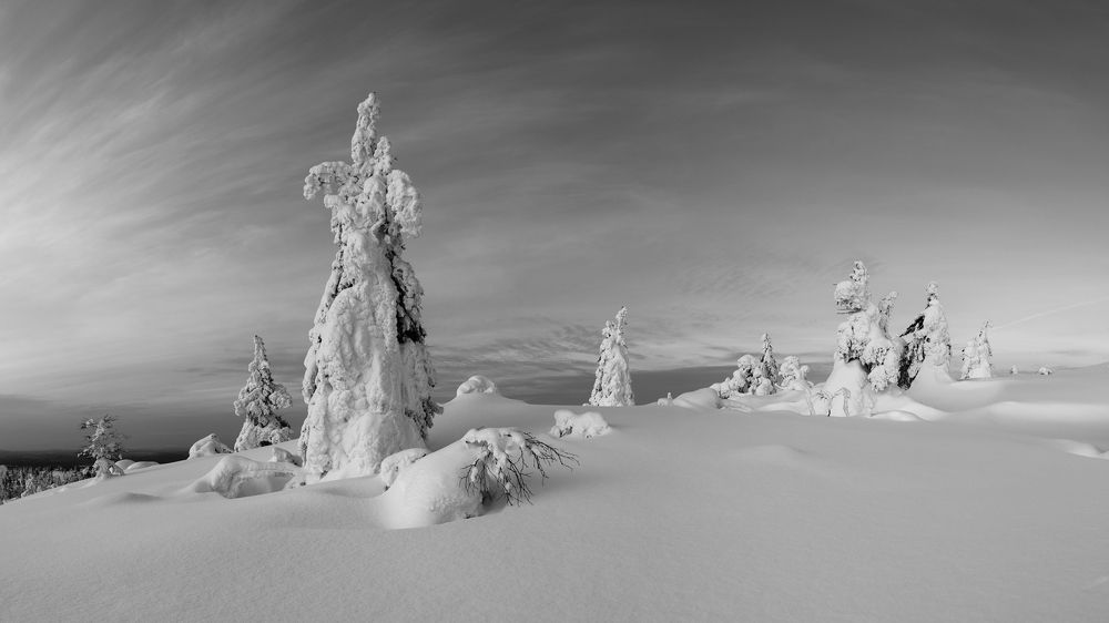 Photograph by Алексей Королёв