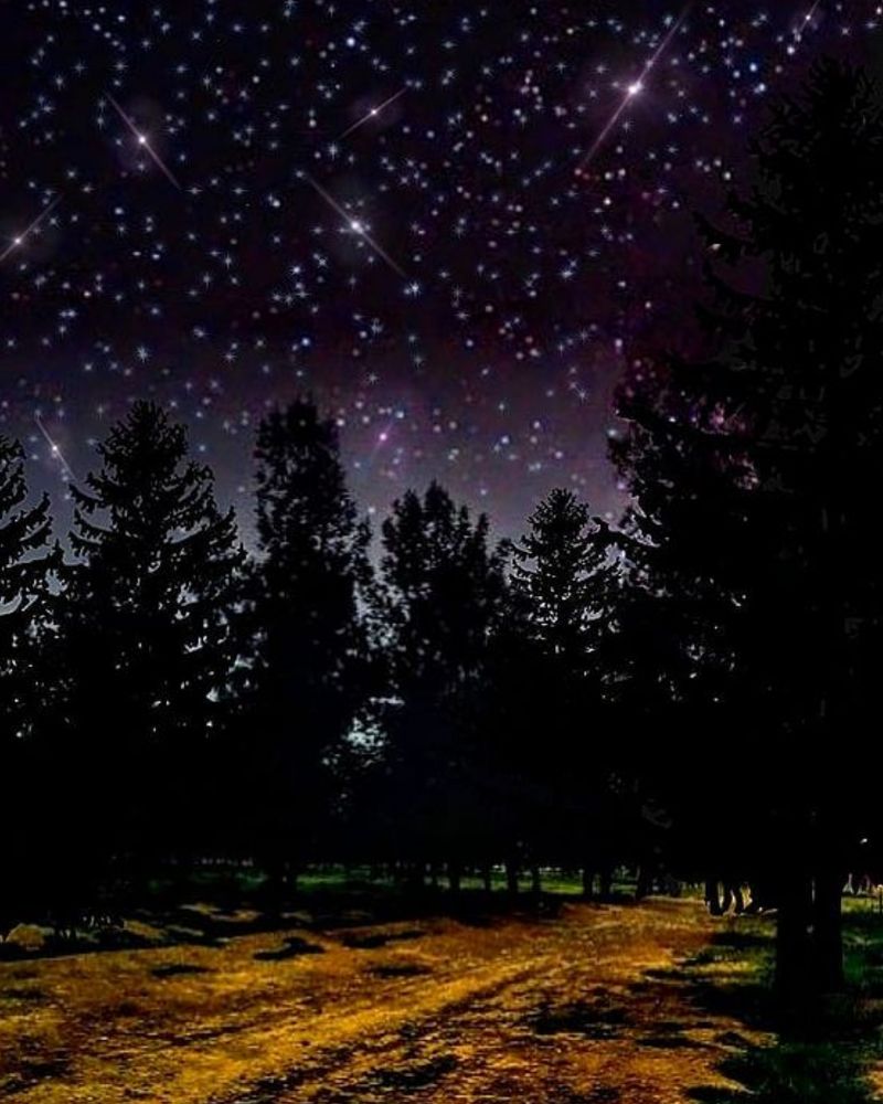 Фотография автора mohammadreza izadi