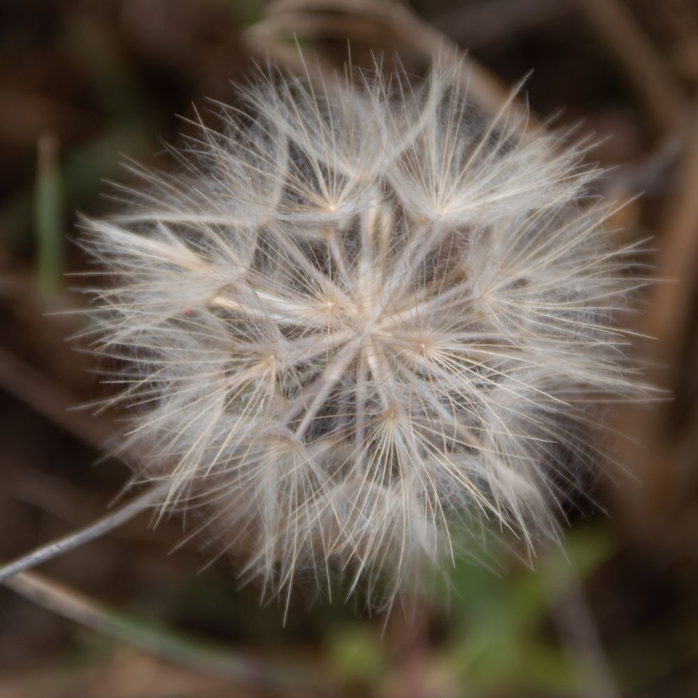 Photograph by michel Olive