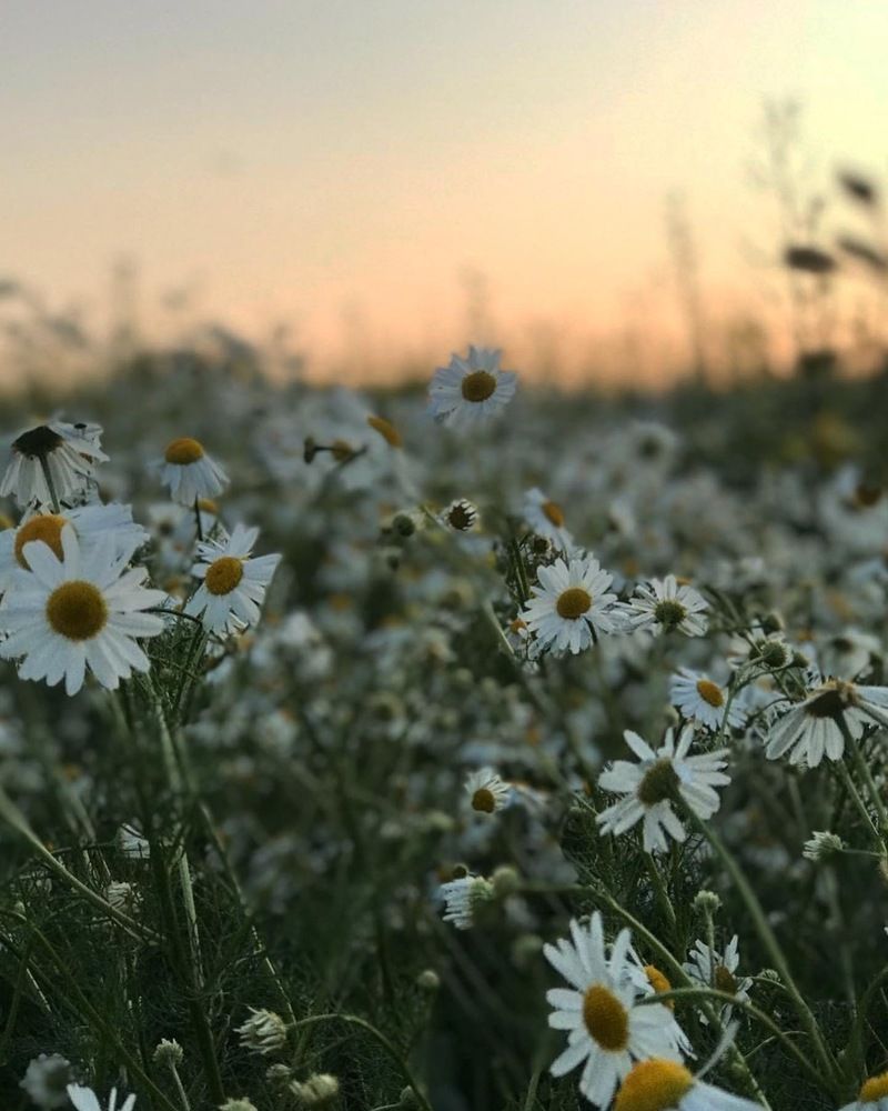 Photograph by Юлия