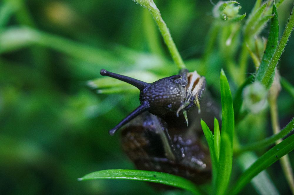 Photograph by Надежда