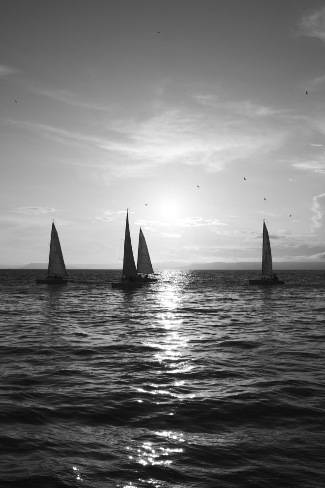 Photograph by Алексей Россихин