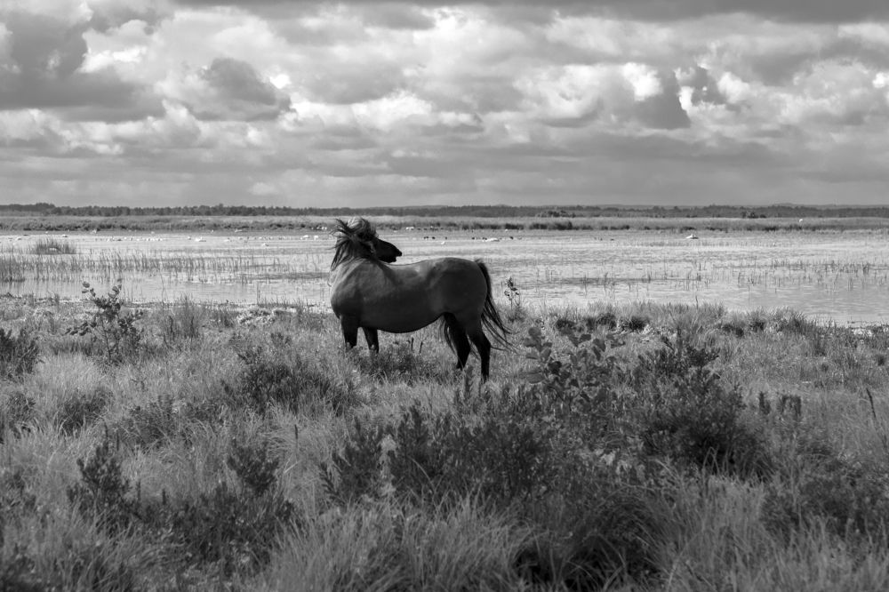 Photograph by Rolandas Valančauskas