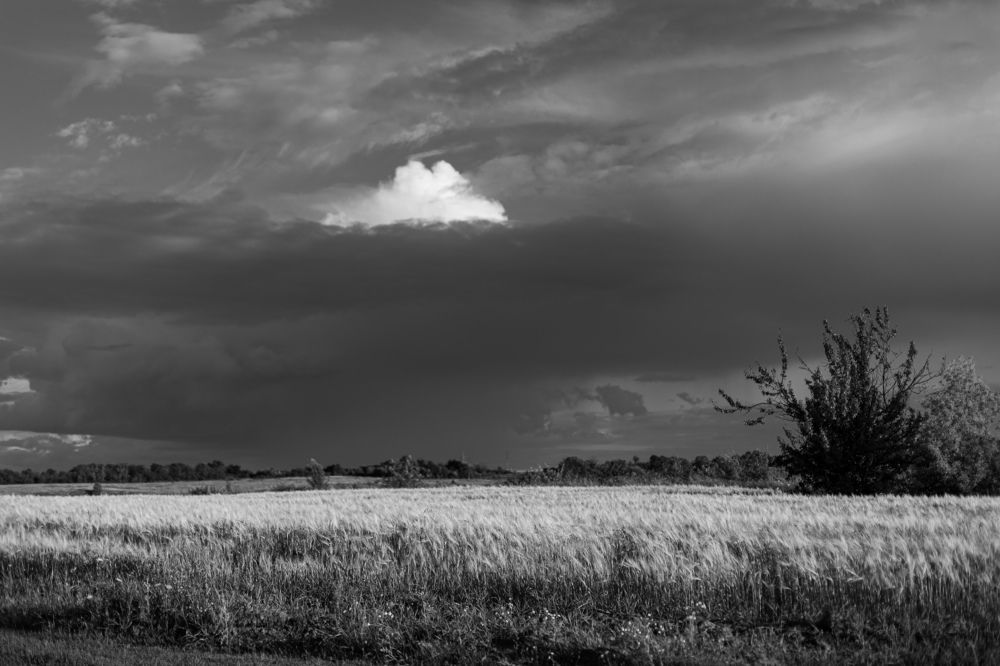 Фотография автора Мария Щеголькова