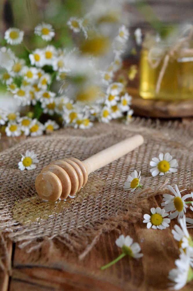 Photograph by Анжелика Голяева