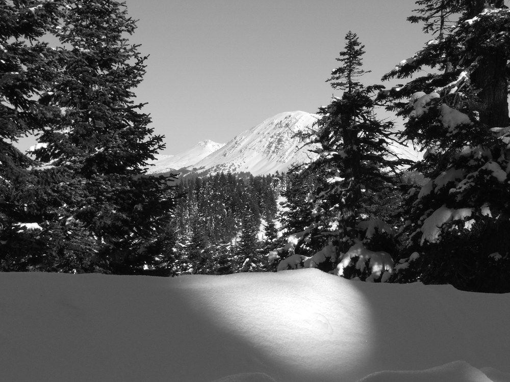 Photograph by Cengiz Yalcin